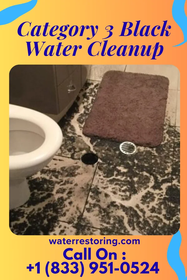 Category 3 Black Water Cleanup in Great Falls, MT