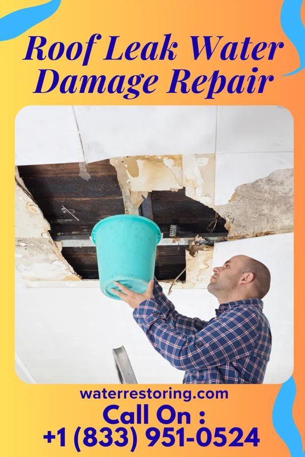 Roof Leak Water Damage Repair in Great Falls, MT